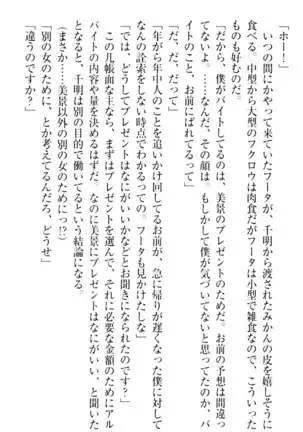 年上メイドの新婚日記