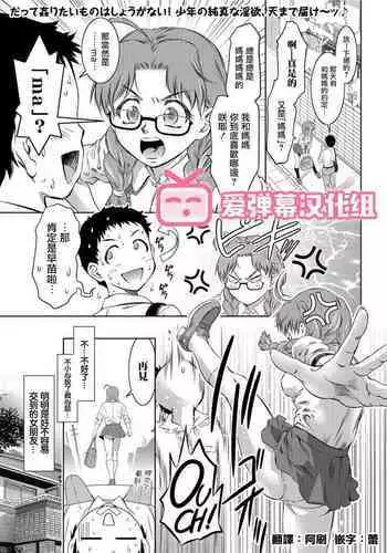 Sekinintottekudasai Okaa-san!!